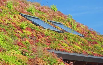 Bridge Reeve living roof systems